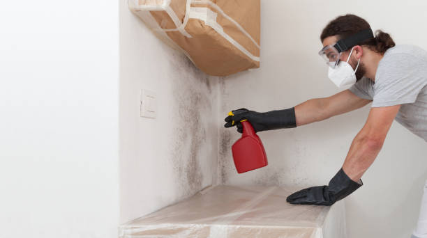 Professional Mold Remediation technician working in Hauppauge, NY